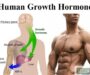 Có nên dùng hormone tăng trưởng chiều cao không?