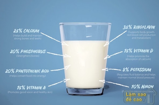 Sữa giàu dinh dưỡng cần thiết cho xương