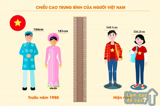 Sự thay đổi chiều cao của người Việt trước năm 1950 đến nay
