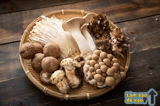 Hầu hết các món ăn chế biến sẵn cho người ăn chay được làm từ nấm