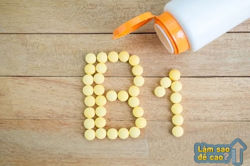 Vitamin B1 (Thiamine) có thể bổ sung qua thực phẩm tự nhiên hoặc viên uống bổ sung