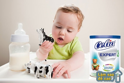 Sữa bột Celia Expert 3