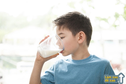 Có nên cho trẻ trong độ tuổi dậy thì uống sữa hỗ trợ tăng chiều cao