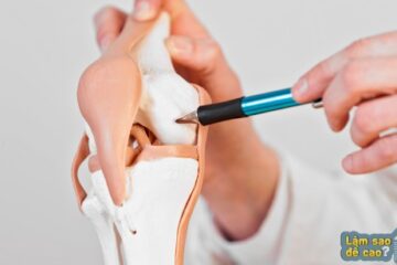 Sụn tăng trưởng đóng năm bao nhiêu tuổi