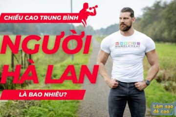 Chiều cao trung bình người hà lan