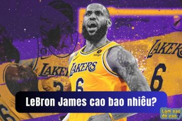 LeBron James cao bao nhiêu?